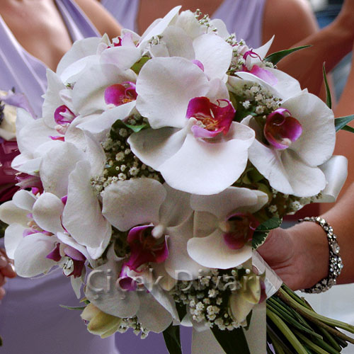 Gelin Çiçeği Nasıl Seçilir ?