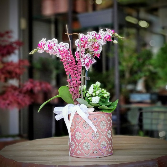 Parfüm Kokulu Çiçekler ?