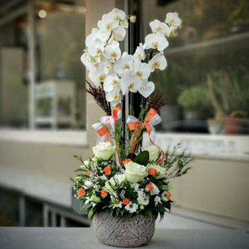 Boğaziçi Serisi Beyaz Orkide