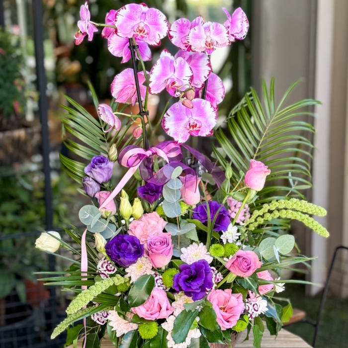 Haliç Serisi Pembe Orkide