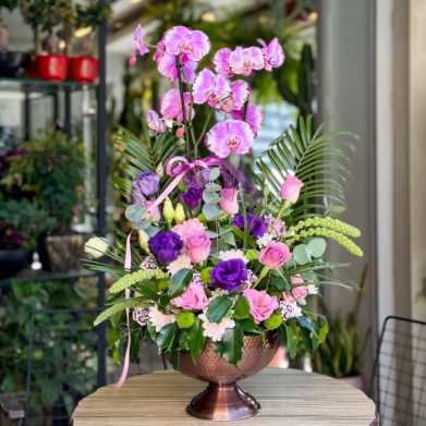 Haliç Serisi Pembe Orkide