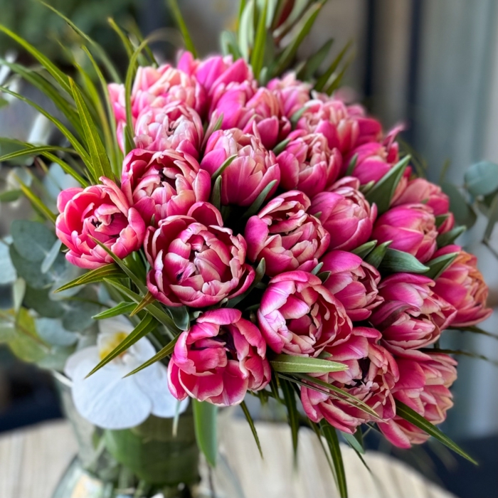 Colombus - Pembe Laleler