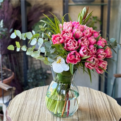 Colombus - Pembe Laleler