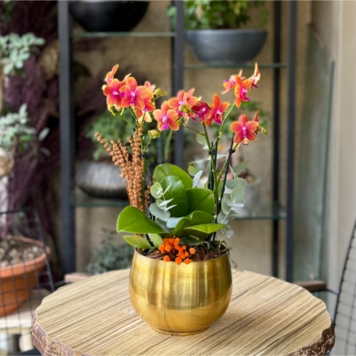 Özel Koleksiyon Sunset Orange