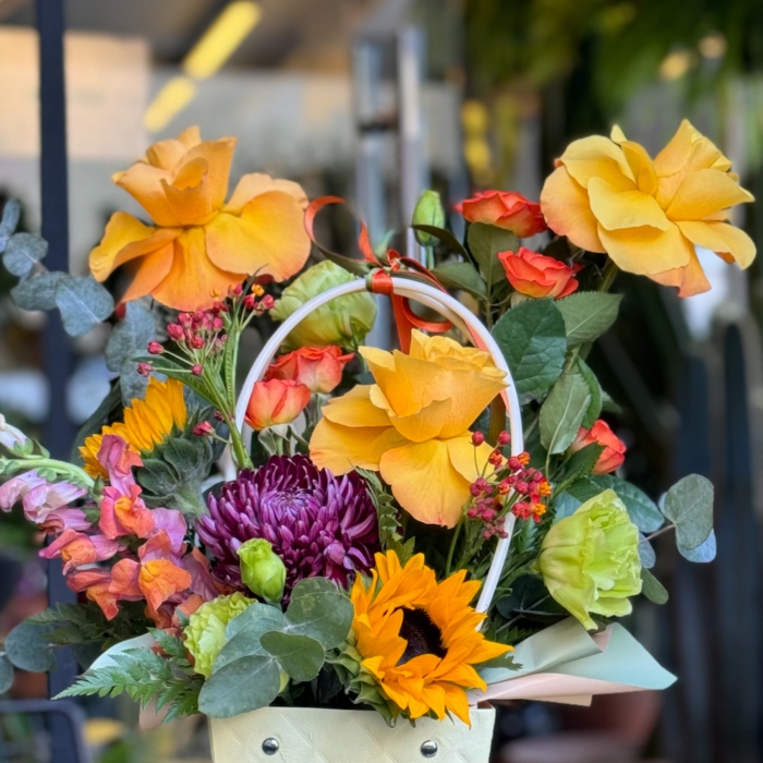 Hasbahçe Serisi Ay Çiçeği