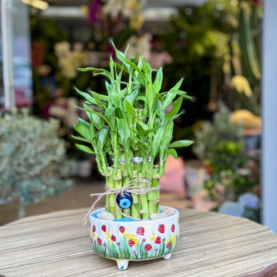 Şans Hep Yanında Olsun