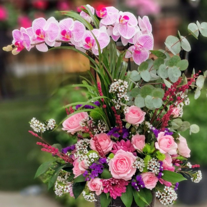 Özel Koleksiyon Lila Multi Orkide