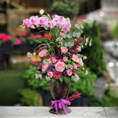 Özel Koleksiyon Lila Multi Orkide