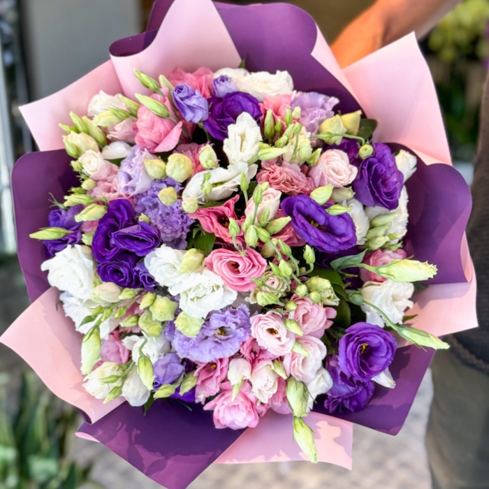 Gökkuşağı Serisi Lisyantüsler