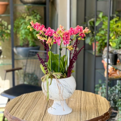 Özel Koleksiyon Coconat Dream