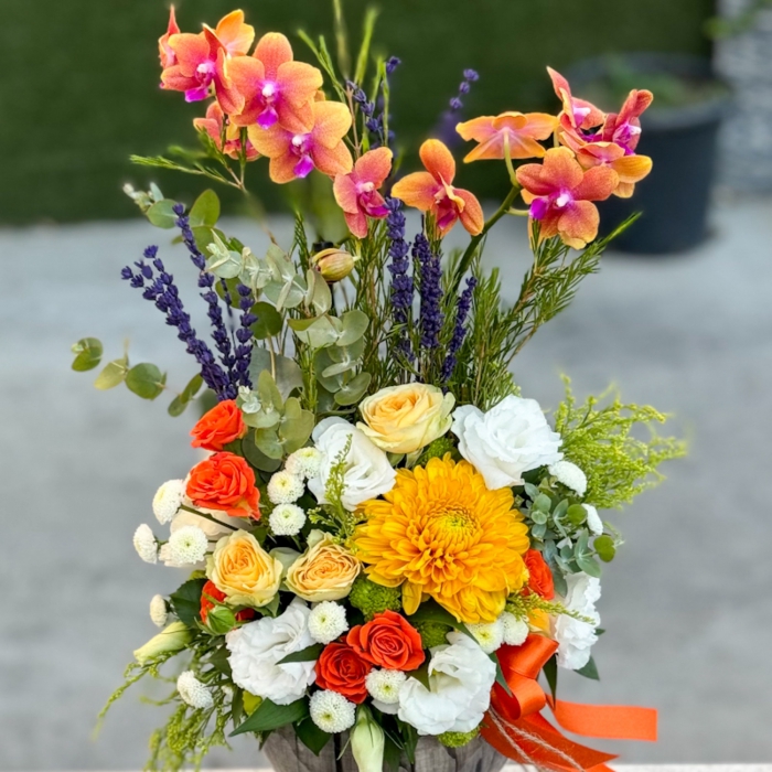 Özel Koleksiyon Las Vegas