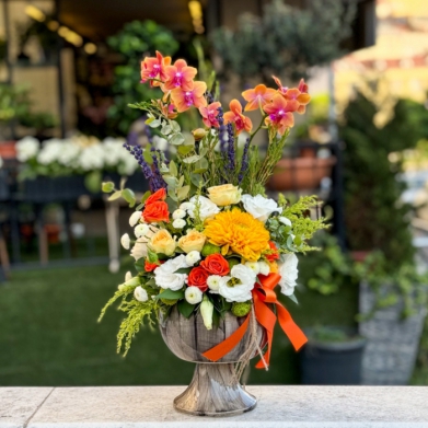 Özel Koleksiyon Las Vegas