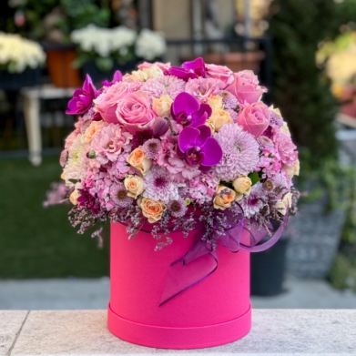 Kutuda Mevsim Çiçekleri