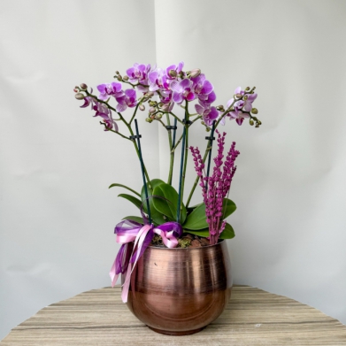 Bakır Saksı Midi Orkide