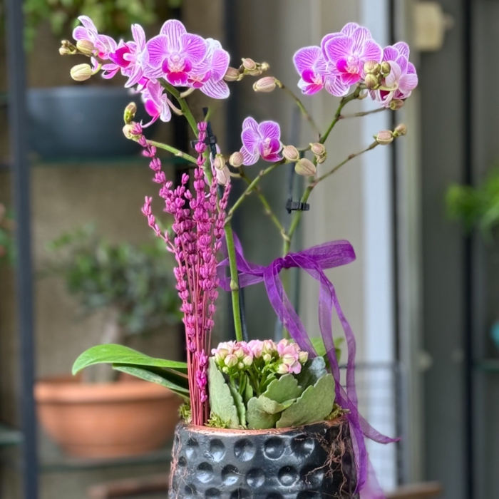 Özel Koleksiyon Miraflore