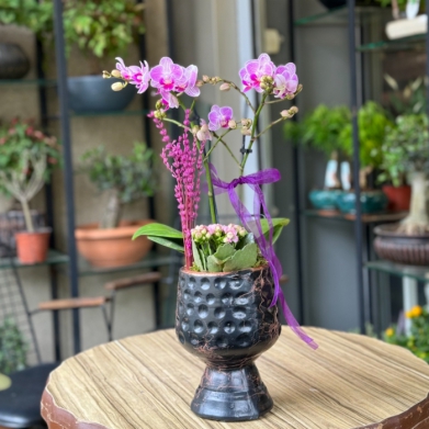 Özel Koleksiyon Miraflore