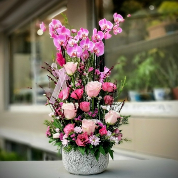 Boğaziçi Fuşya Orkide