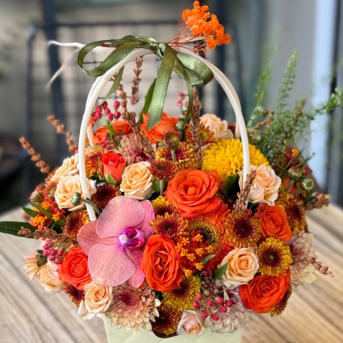 Hasbahçe Serisi Orange